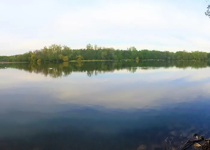 B&f Business & Family Nalkowskiej * Poznań